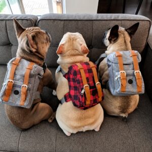 Morral Premium para Mascotas