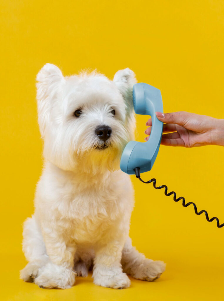 PUPPY PHONE