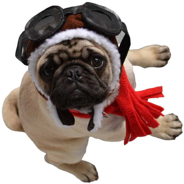 PUG DELIVERY